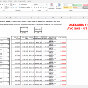 Manual ISS 2001 en Excel con cirugías liquidadas y porcentaje modificable