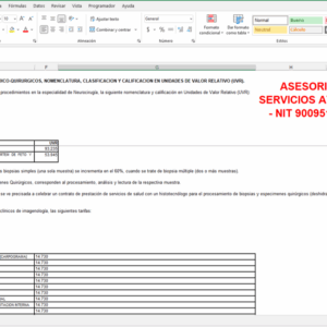 Manual ISS 2001 en Excel