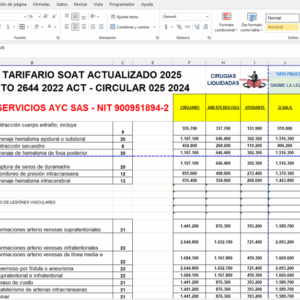 Manual SOAT 2025 excel con CIRUGIAS LIQUIDADAS